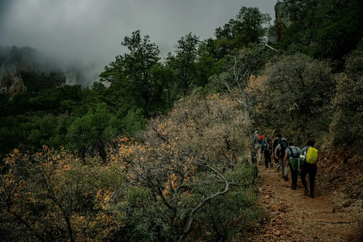 Randonneurs sur un sentier du parc national de Big Bend aux États-Unis